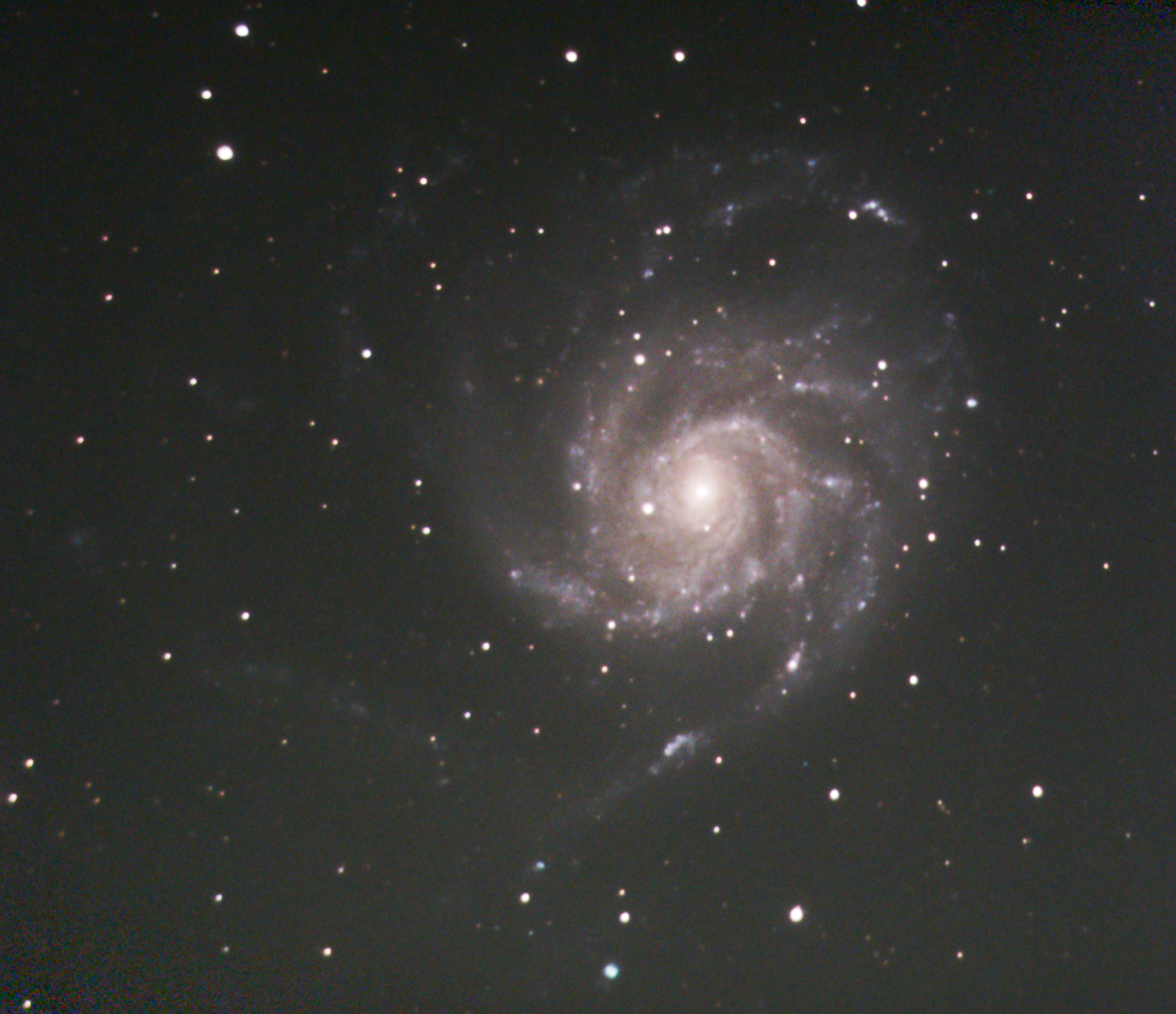 M101