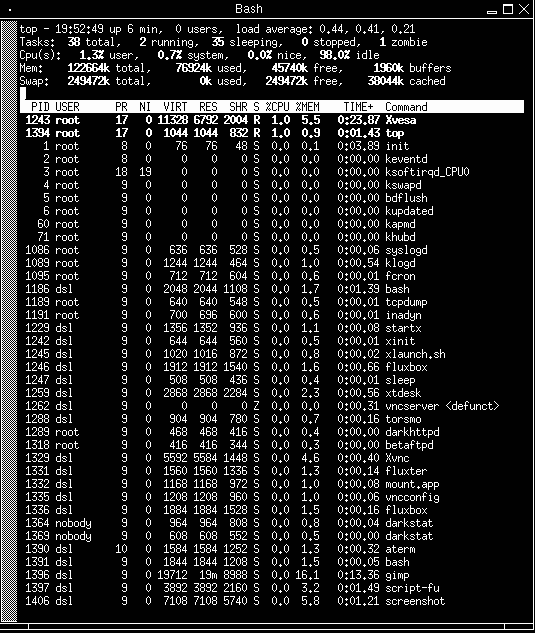 RAM memory use as shown by top