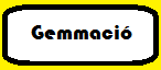 Gemmaci