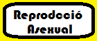 Reproducci asexual