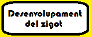 Desenvolupament del zigot