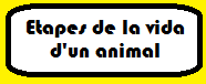 Etapes de la vida d'un animal