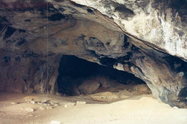 cova