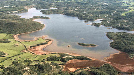 albufera1