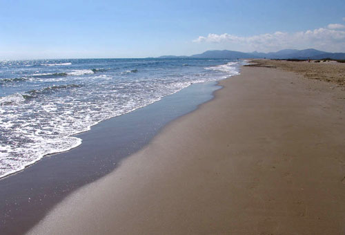Platga1