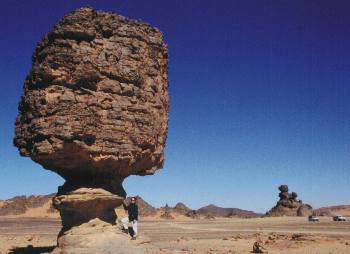 relleu en bolet