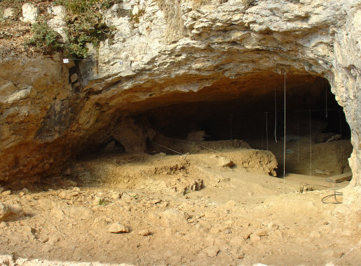 cova