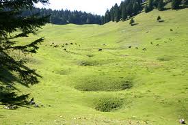 dolines