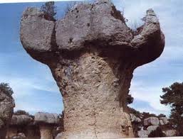 els relleus en bolet